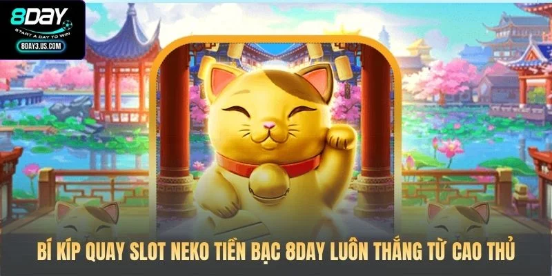 Bí kíp quay Slot Neko Tiền Bạc 8DAY luôn thắng từ cao thủ