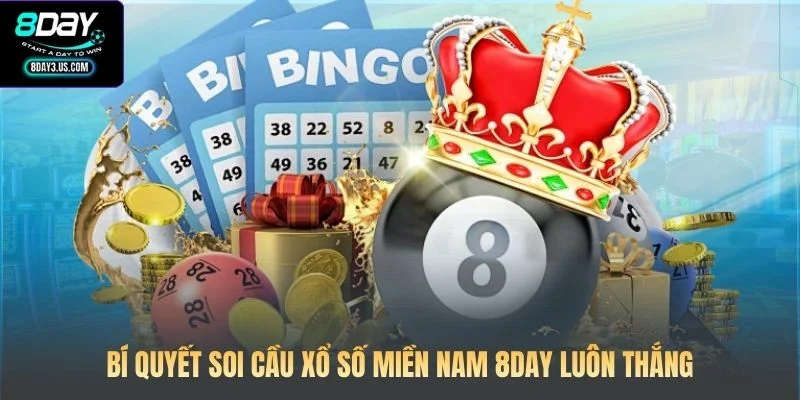 Xổ Số Miền Nam 8DAY: Chiến Thuật Soi Cầu Chuẩn Xác Nhất 4 Các loại hình cược phổ biến tại xổ số miền Nam 8DAY