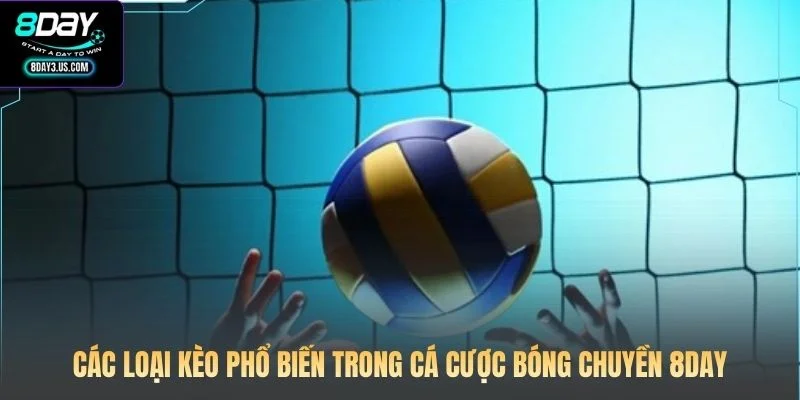 Các loại kèo phổ biến trong cá cược bóng chuyền 8DAY