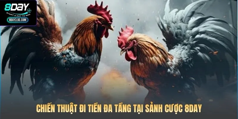 Chiến thuật đi tiền đa tầng tại sảnh cược 8DAY