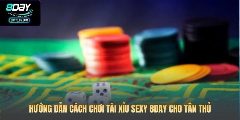 Hướng dẫn cách chơi Tài Xỉu Sexy 8DAY cho tân thủ