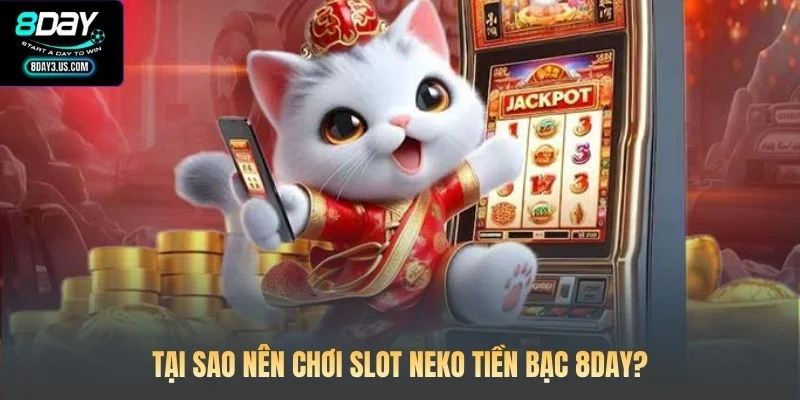 Tại sao nên chơi Slot Neko Tiền Bạc 8DAY?