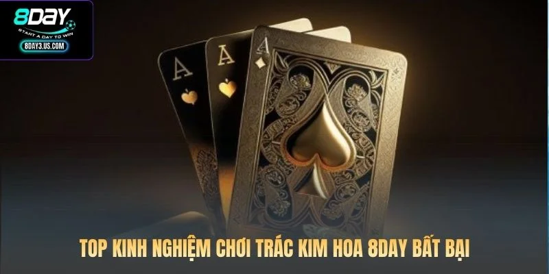 Top kinh nghiệm chơi Trác Kim Hoa 8DAY bất bại