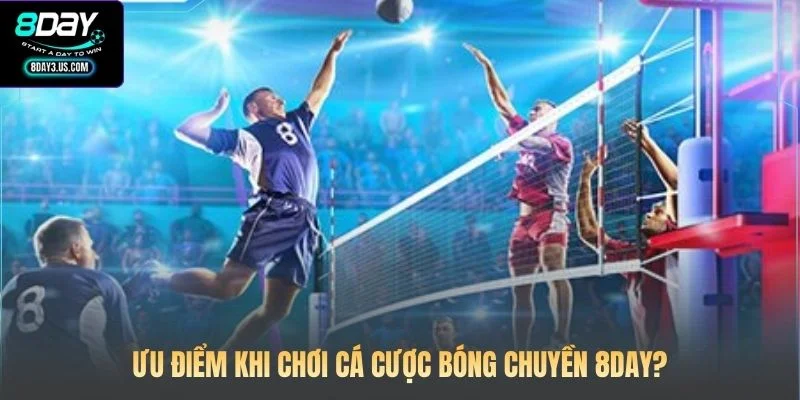 Ưu điểm khi chơi cá cược bóng chuyền 8DAY?