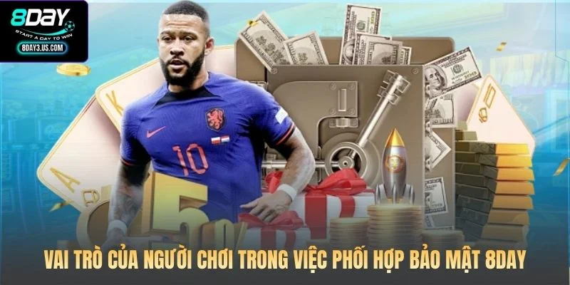 Vai trò của người chơi trong việc phối hợp bảo mật 8DAY